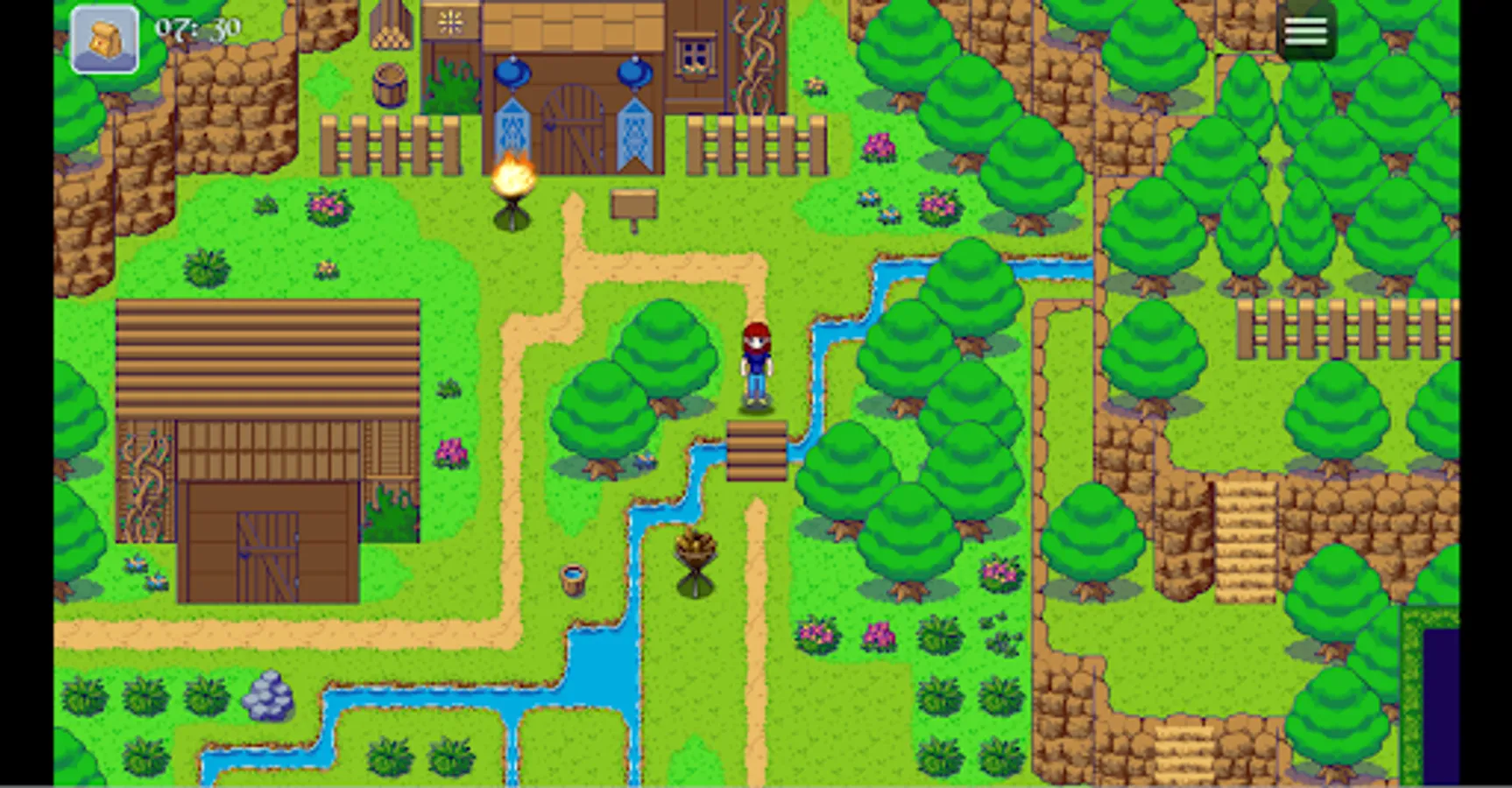 Screenshot 13