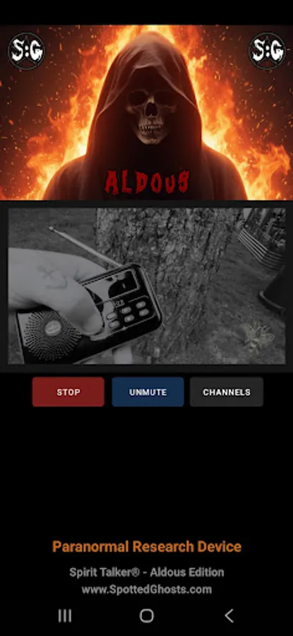Screenshot 16