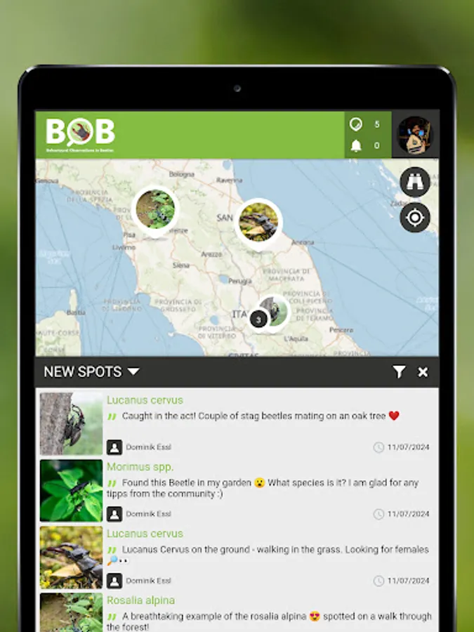 Screenshot 11