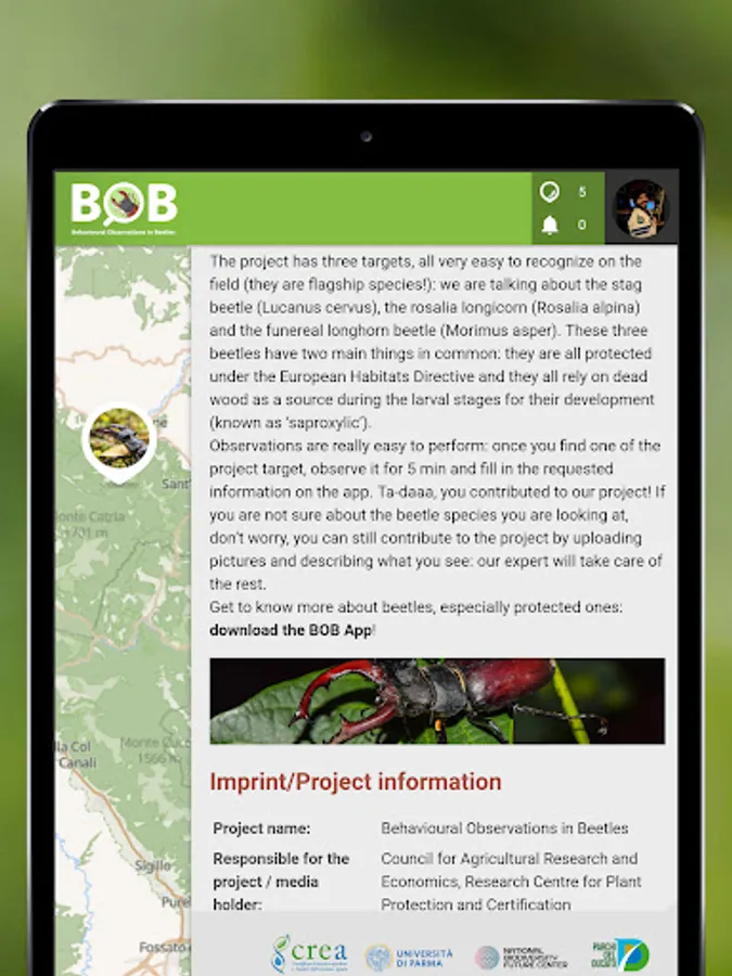 Screenshot 12
