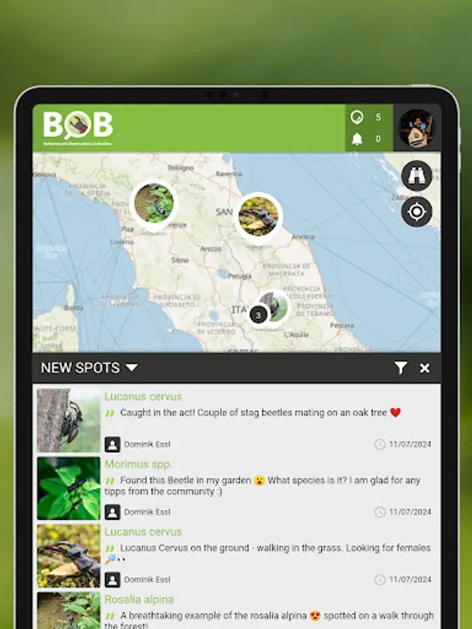 Screenshot 17