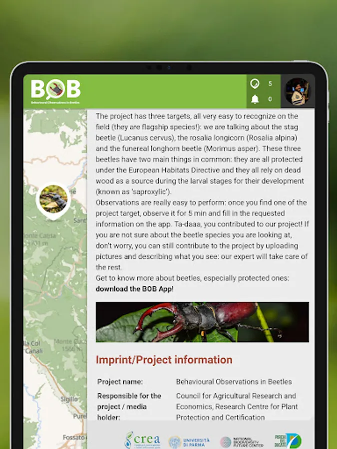 Screenshot 18