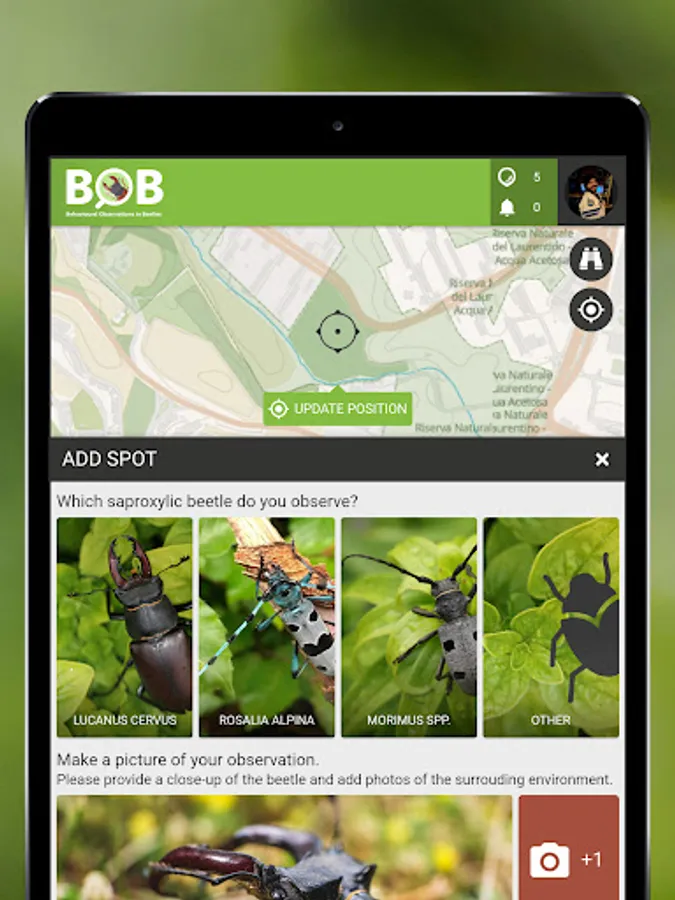 Screenshot 8