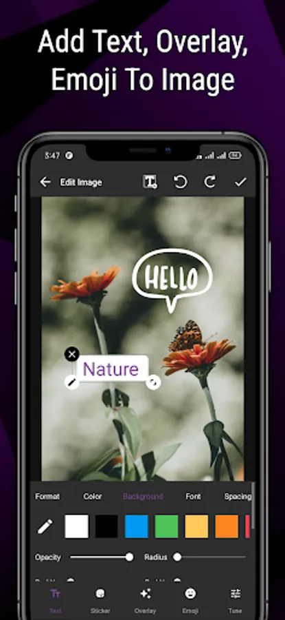 Screenshot 13
