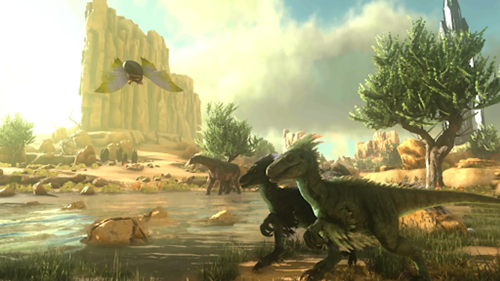Screenshot 16