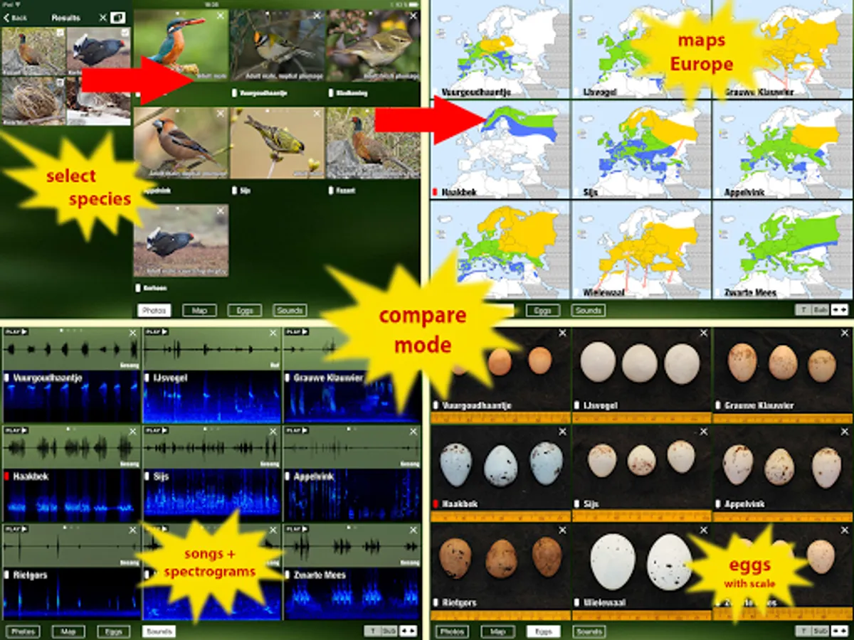 Screenshot 15
