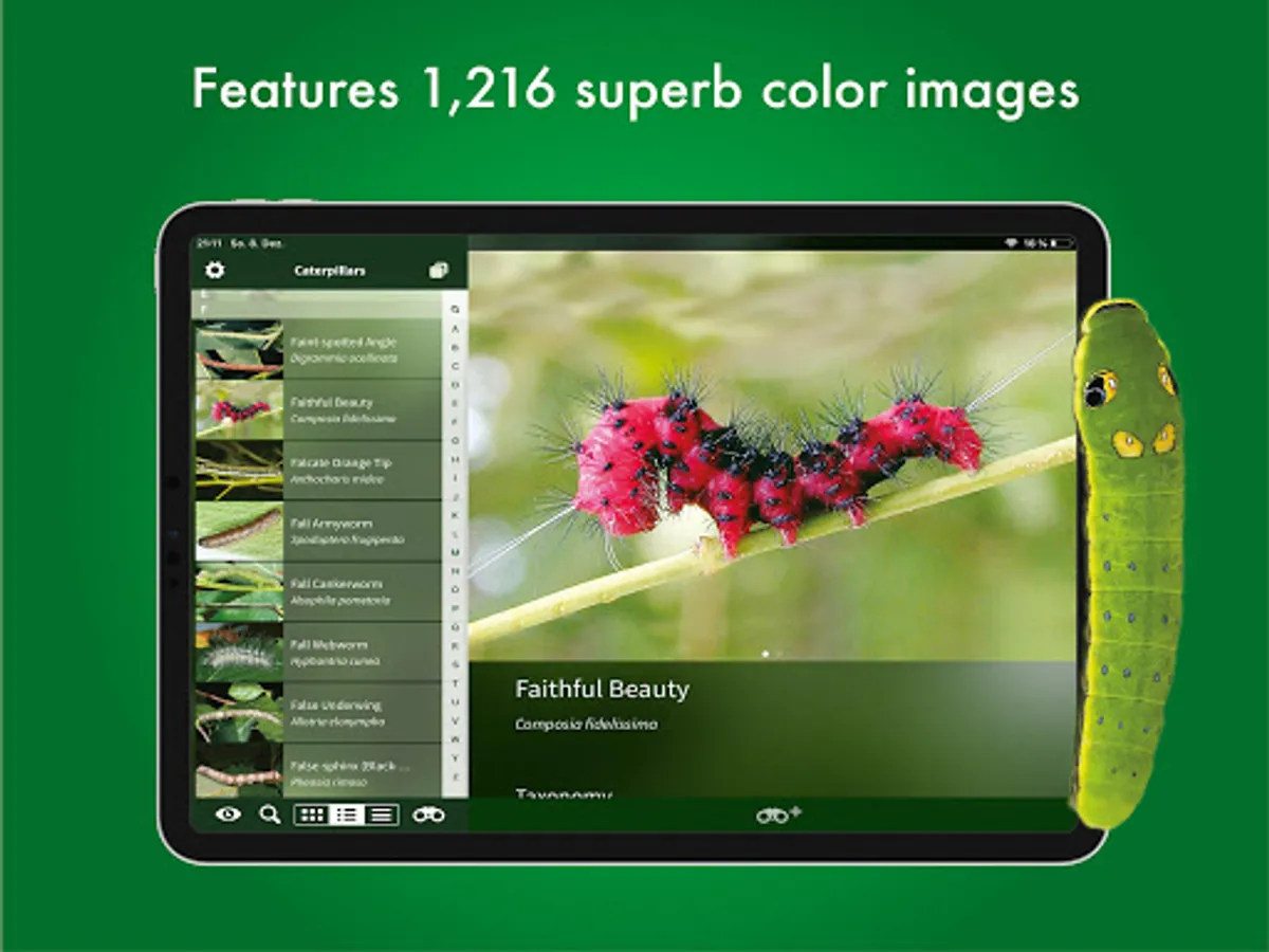 Screenshot 19
