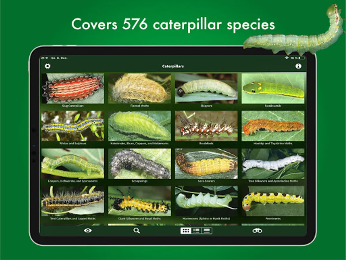 Screenshot 10