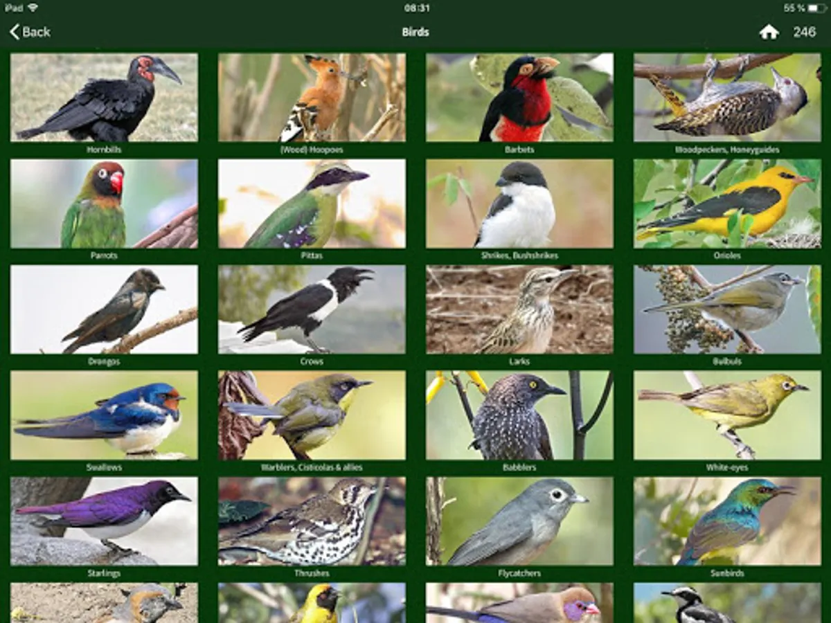 Screenshot 11
