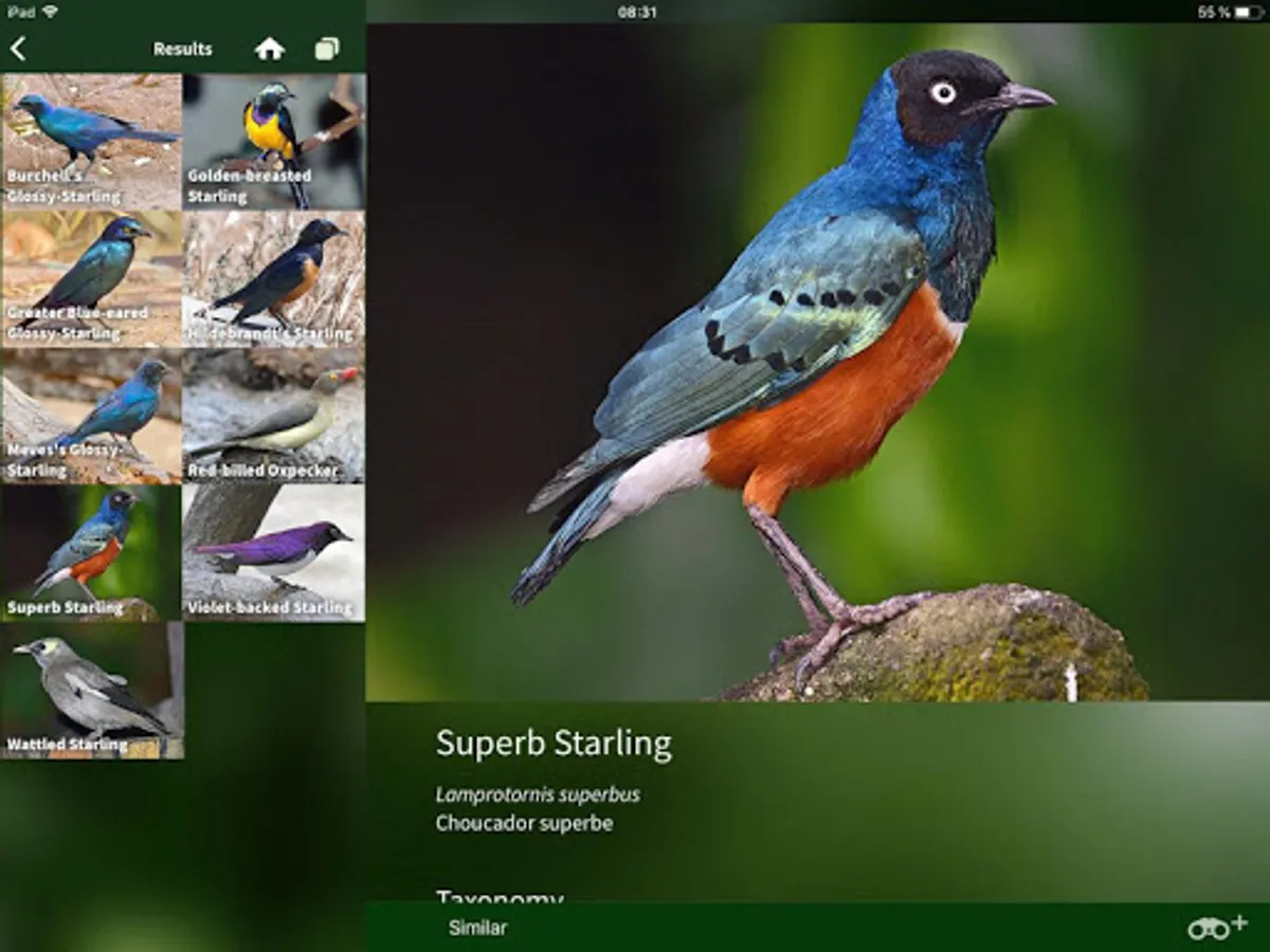 Screenshot 12
