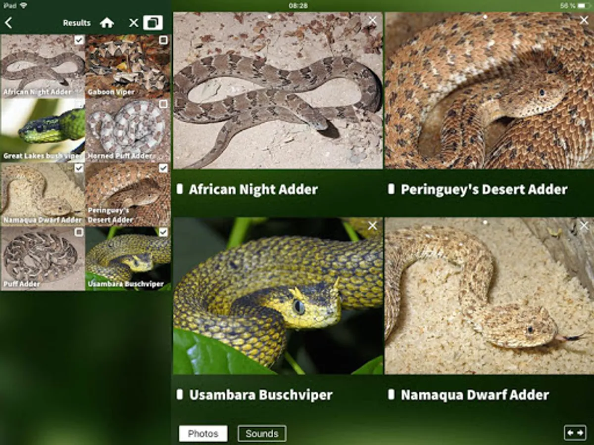 Screenshot 13