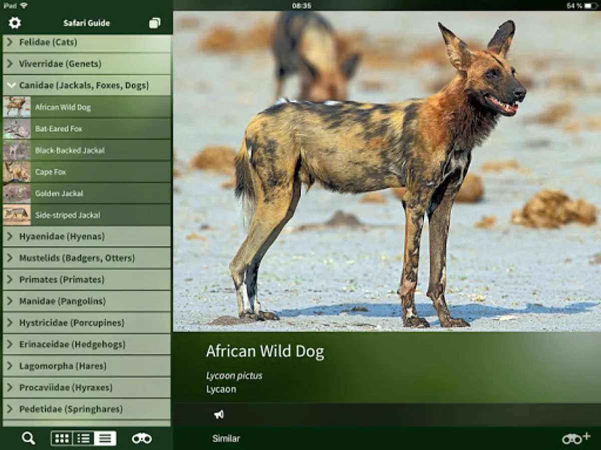 Screenshot 14