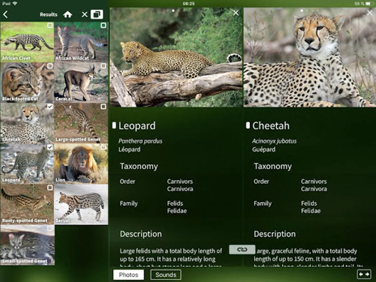 Screenshot 10