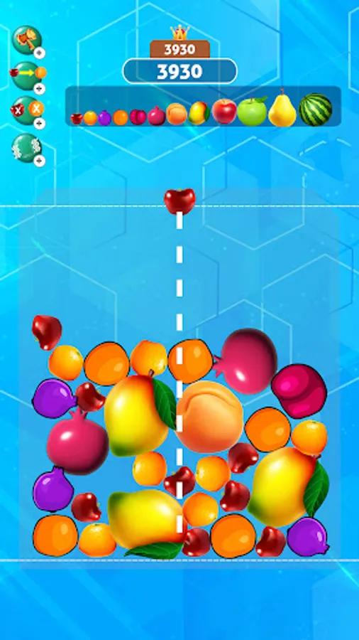 Screenshot 17