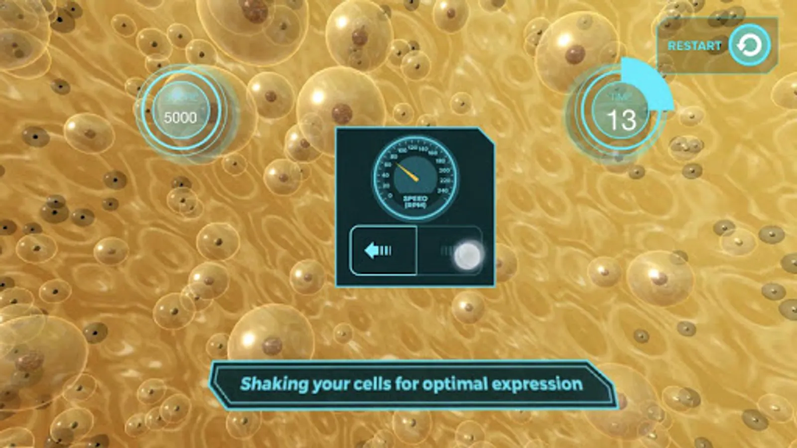 Screenshot 17