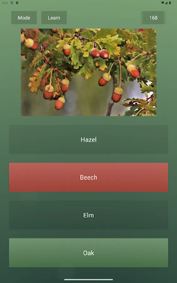 Screenshot 18