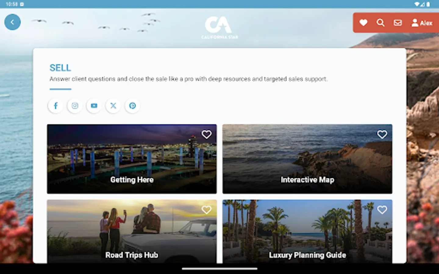 Screenshot 16