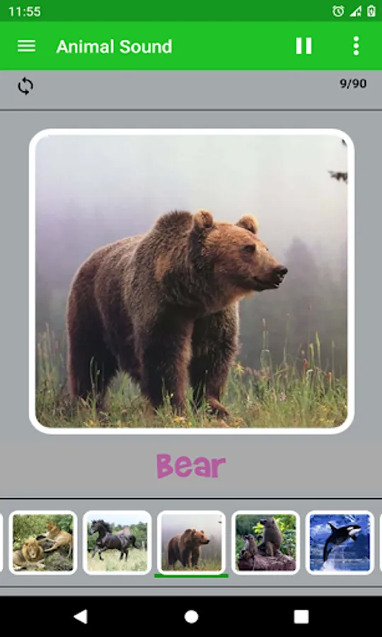 Screenshot 11