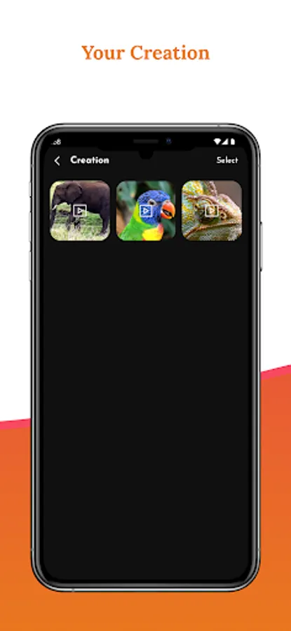 Screenshot 17