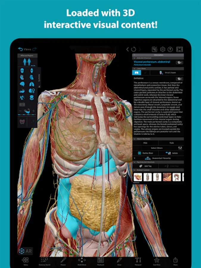 Screenshot 12