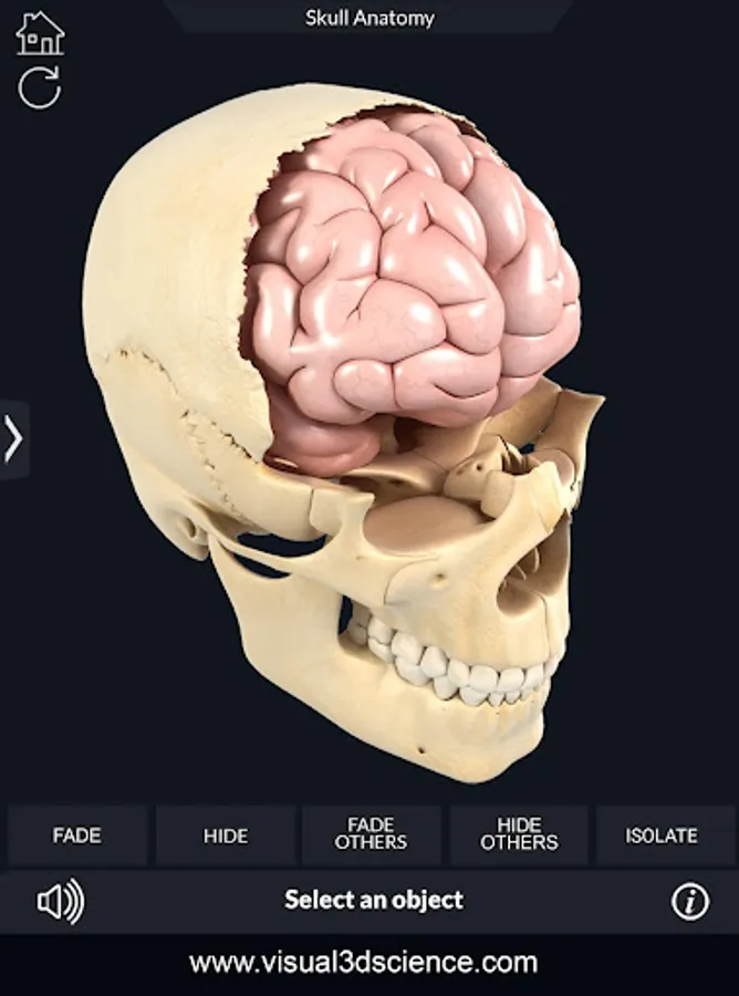 Screenshot 14