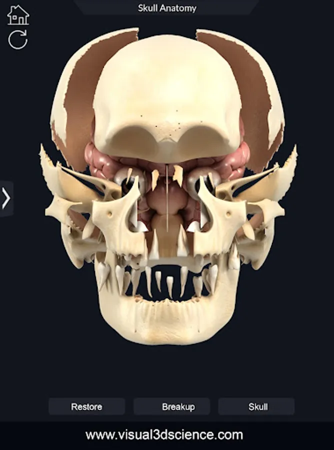 Screenshot 15