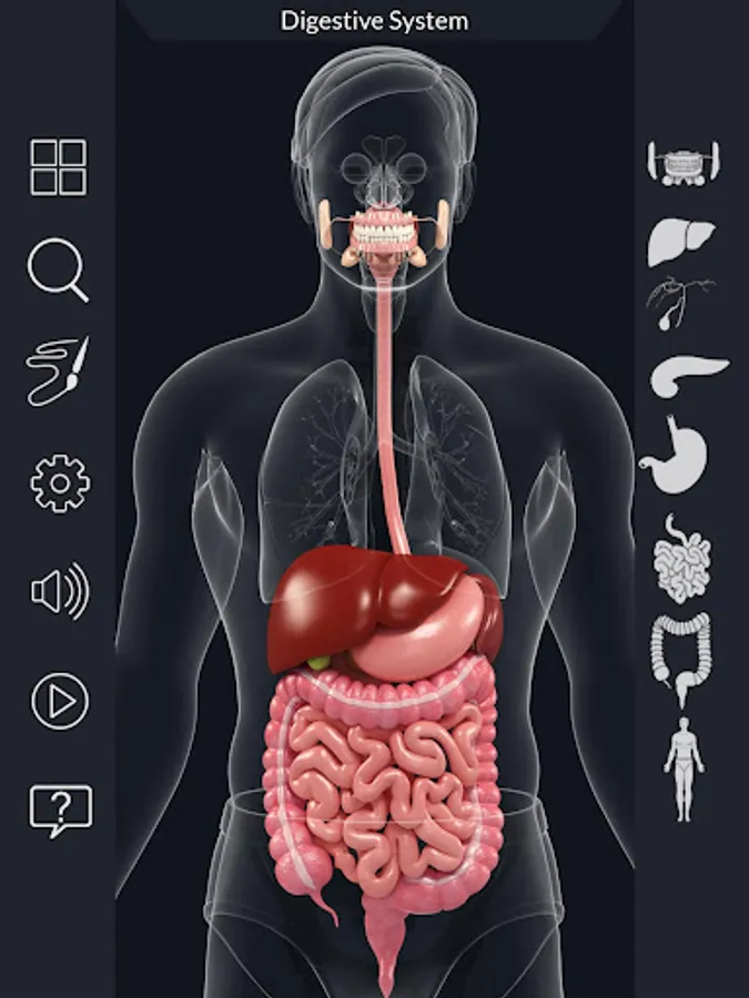 Screenshot 12