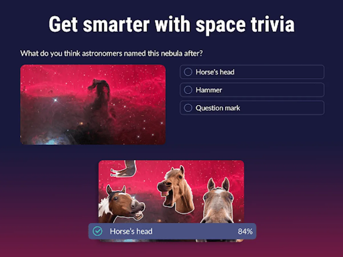 Screenshot 23