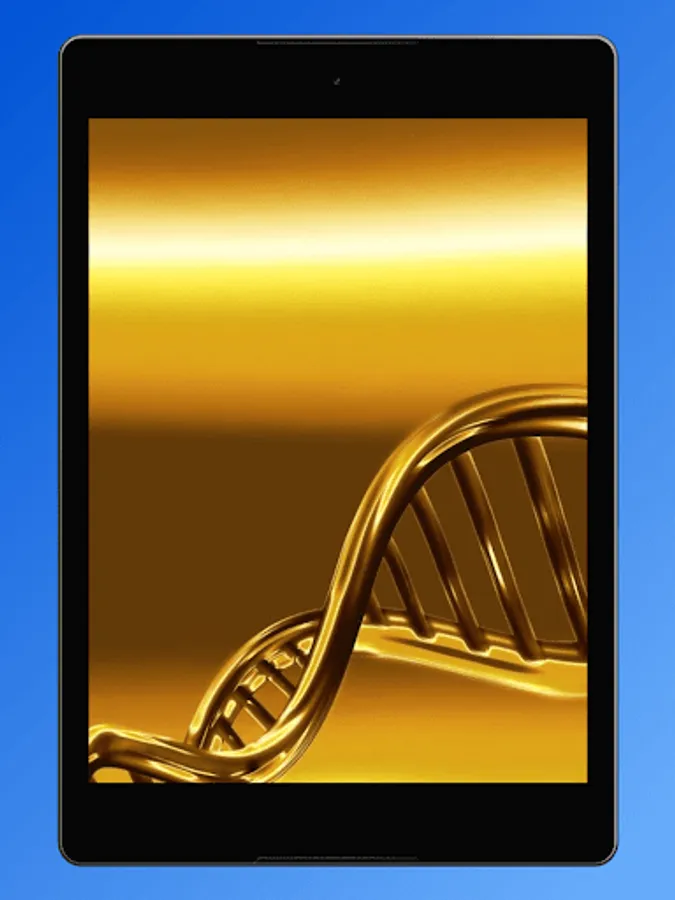 Screenshot 21