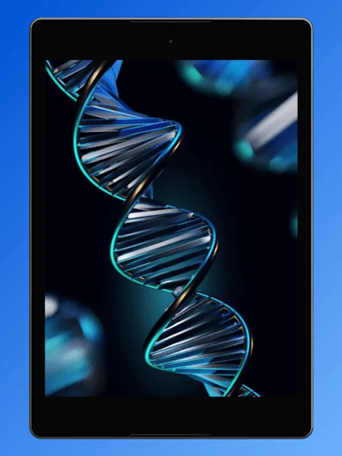 Screenshot 22
