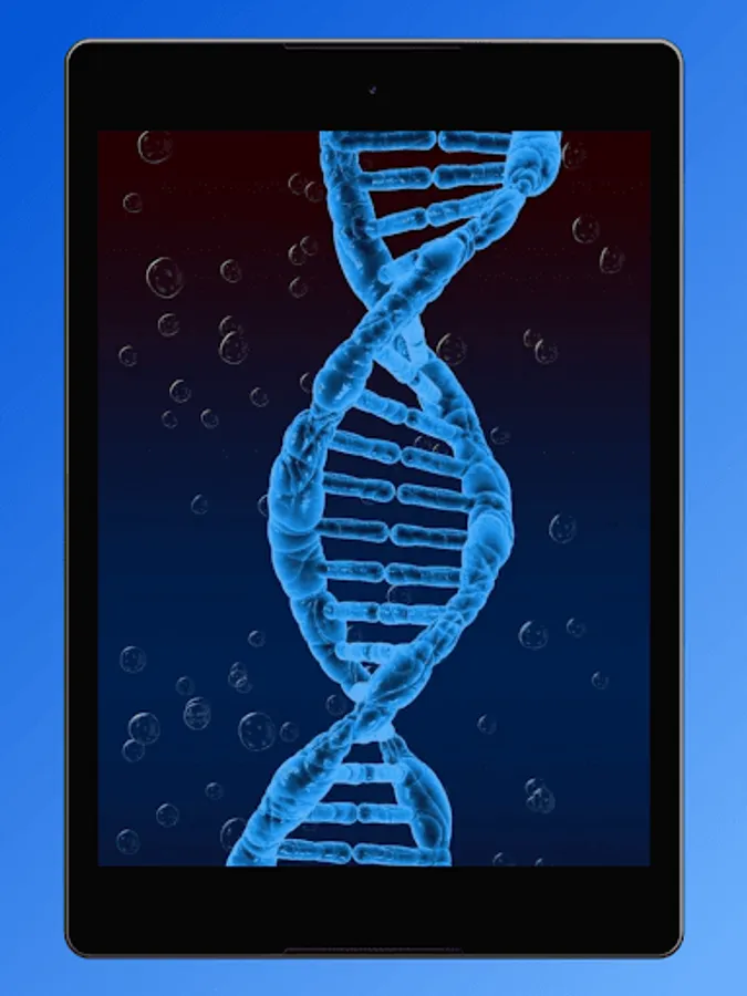 Screenshot 23