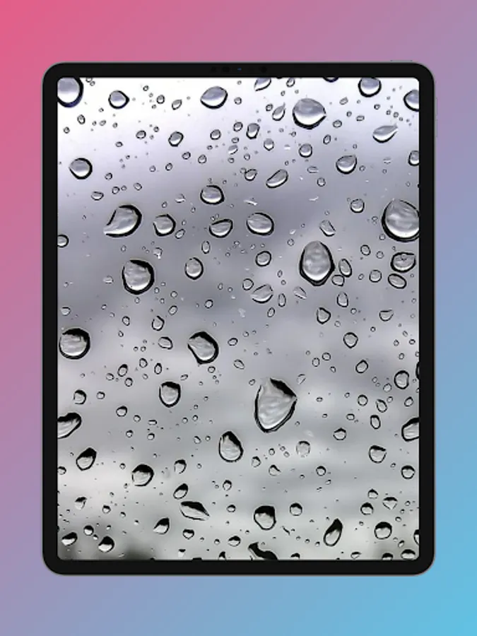 Screenshot 21