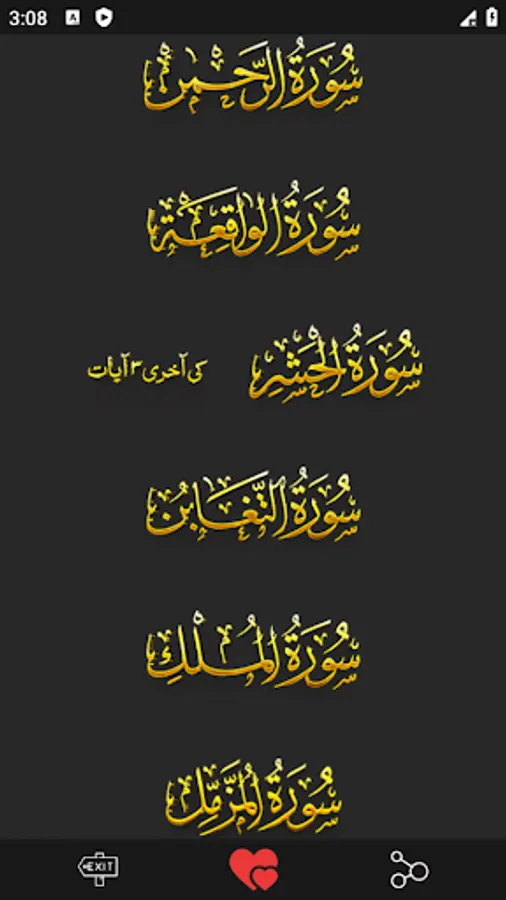 Screenshot 12