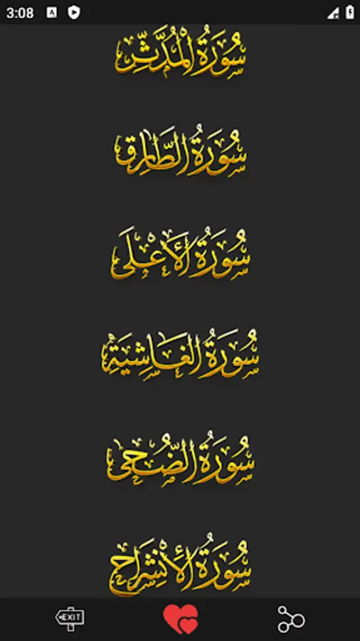 Screenshot 13