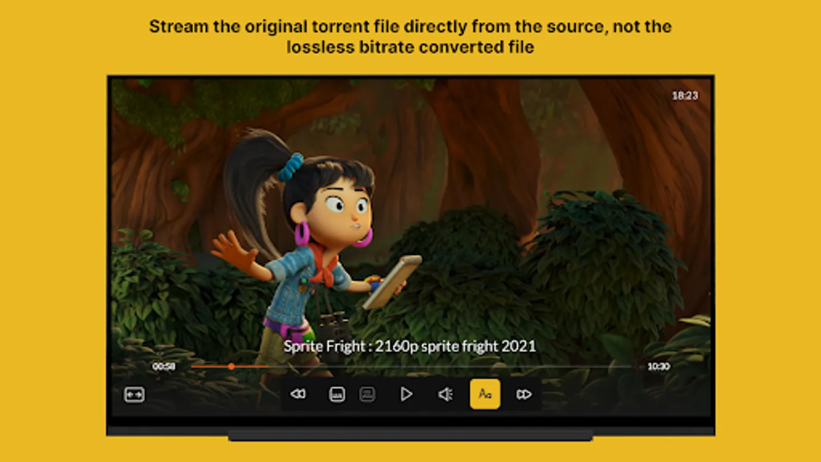 Screenshot 29