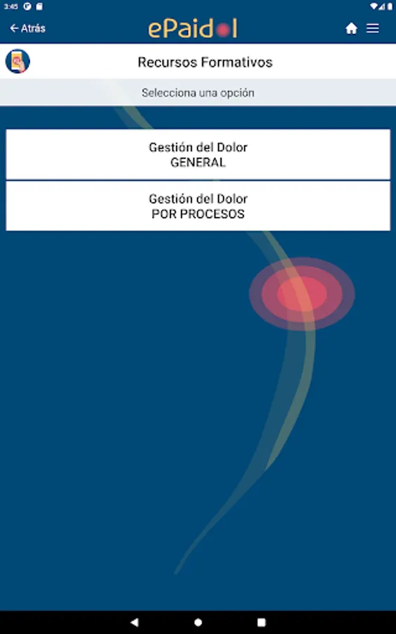 Screenshot 19