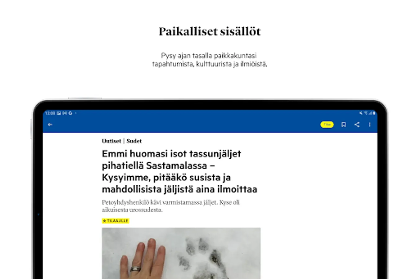 Screenshot 17