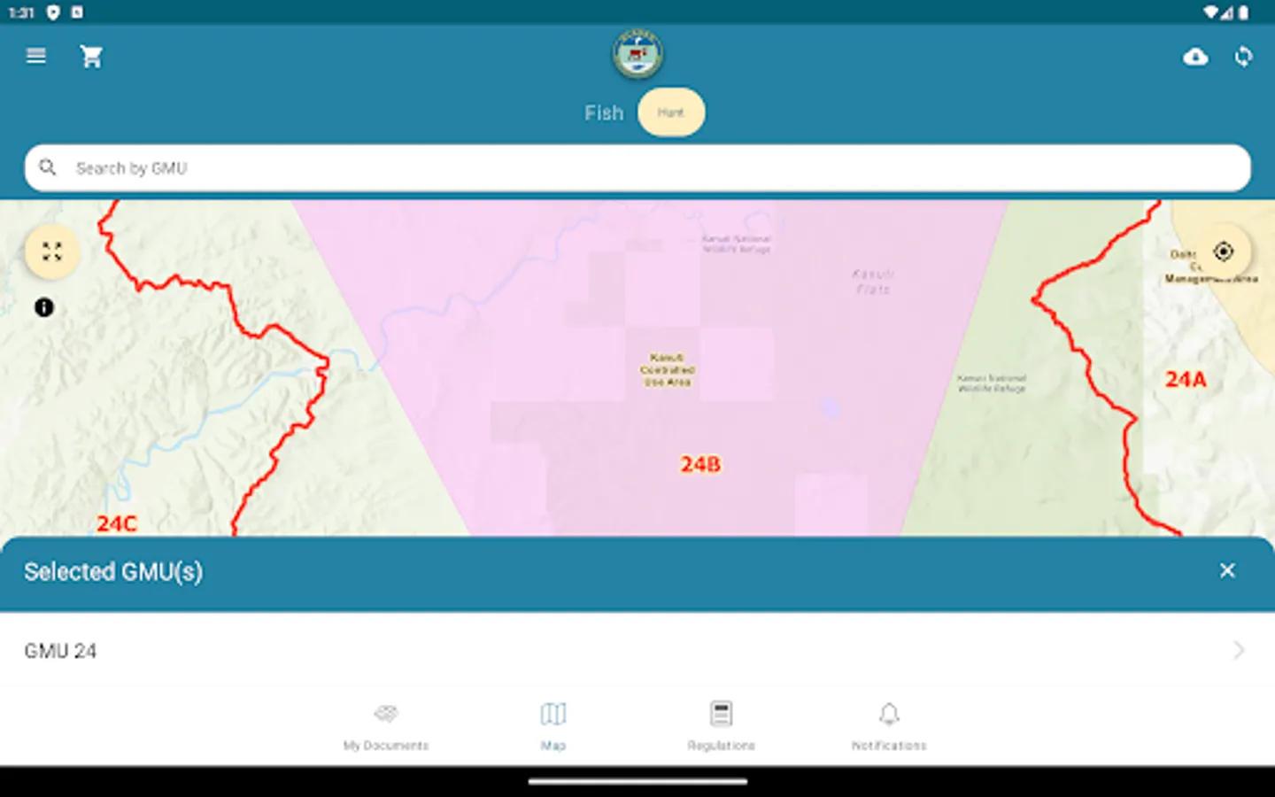 Screenshot 21