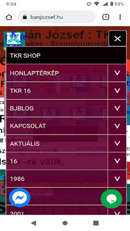 Screenshot 13