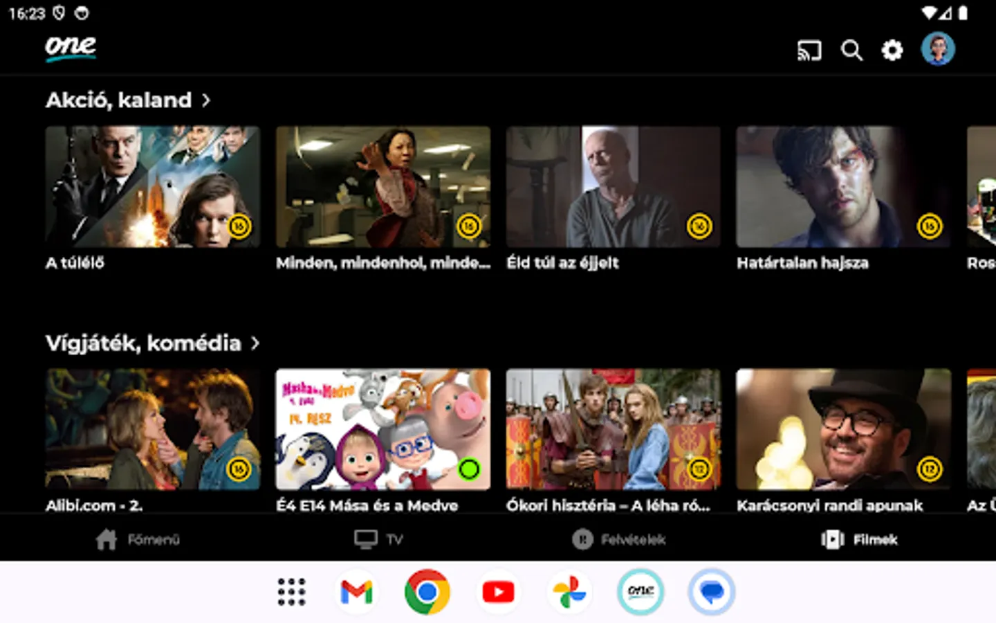 Screenshot 13