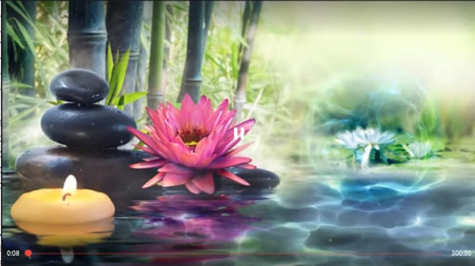 Screenshot 22