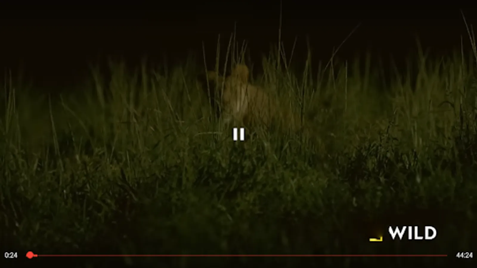 Screenshot 21