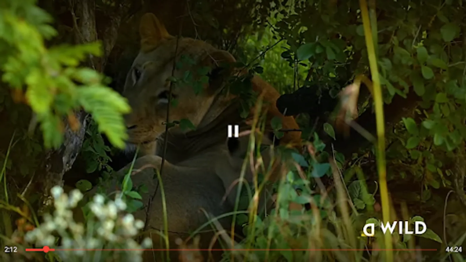 Screenshot 22