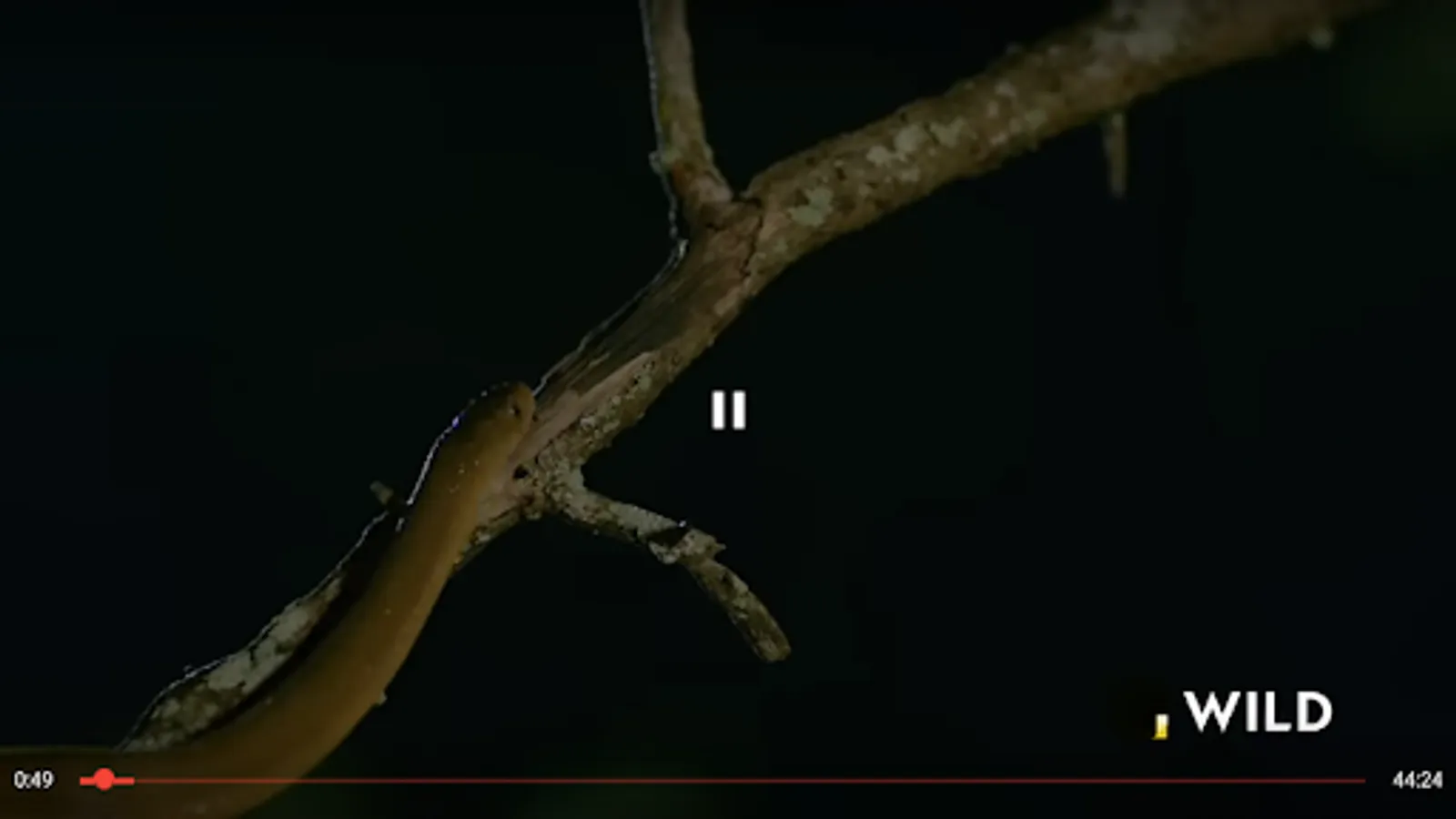 Screenshot 27