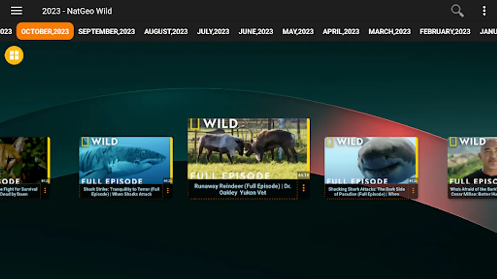 Screenshot 30