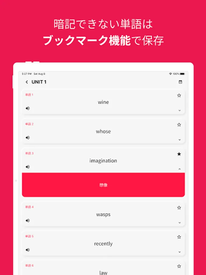 Screenshot 21