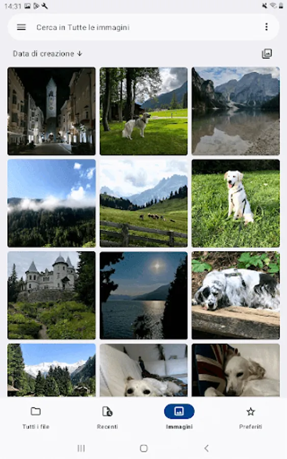 Screenshot 12