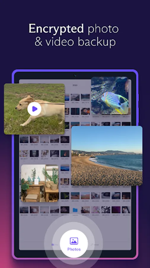 Screenshot 17