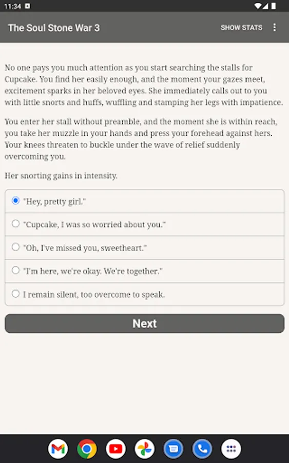 Screenshot 10