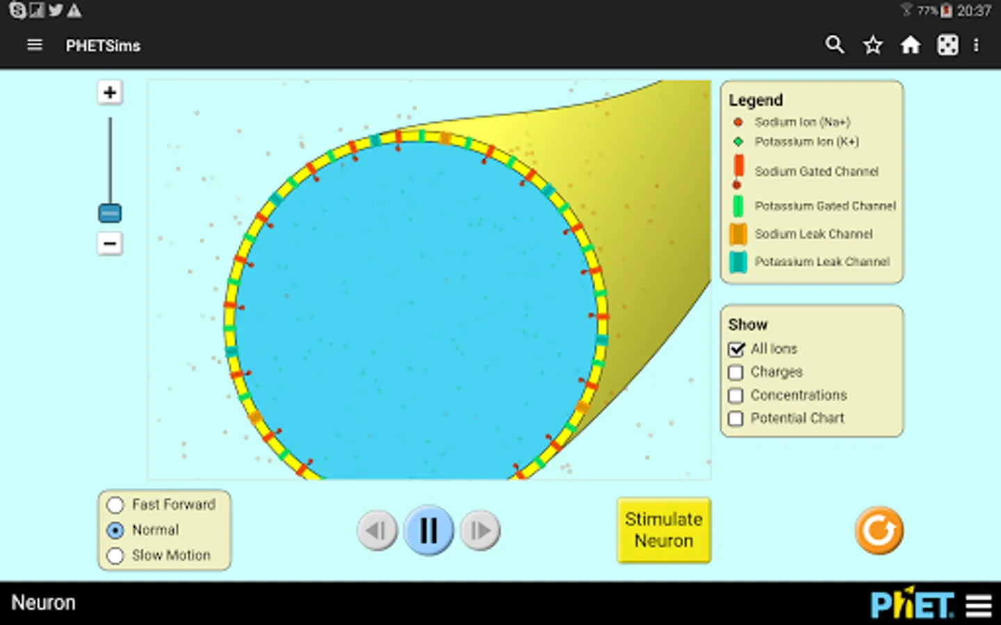 Screenshot 9